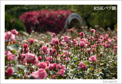 RSK�Х��3