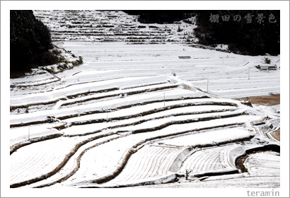 棚田の雪景色1