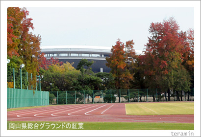 ���������祰�饦��ɤι���4