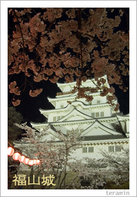 福山城と桜