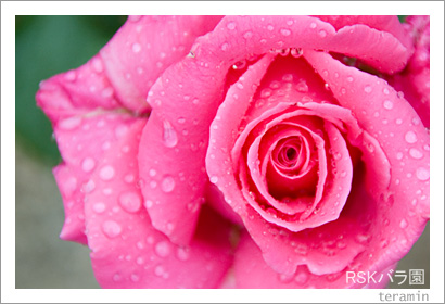 ����RSK�Х��2