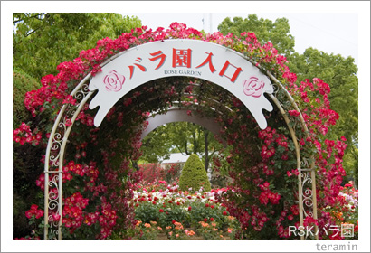 ����RSK�Х��1