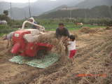 conv0012