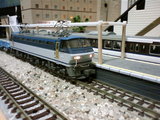 79526d92.JPG