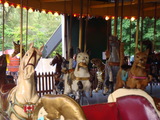 DSC01102
