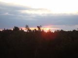 DSC01224
