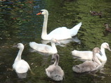 DSC01084