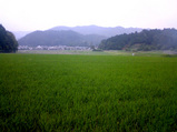 草原?
