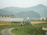 小学校登校