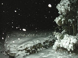大雪2