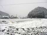 想定外の雪