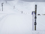 ski