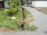 草引き2