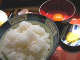 卵かけご飯1