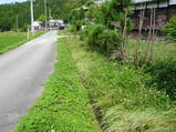 草刈り1