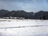 突然の雪景色