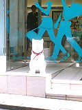 c31649a4.jpg