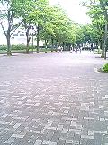 caa79293.jpg