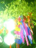 dbb53333.jpg