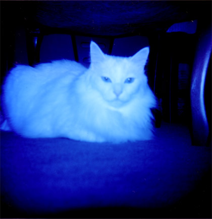 �ĥХ˥�