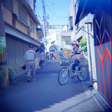 ʡ�糦��