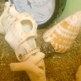 �ޤ��Τ�070112