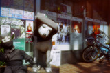 �ӥ������θ�
