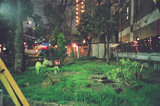 夜雨公園傘