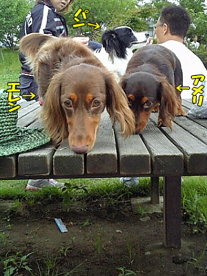 ½ÐÂÔ¤Á¤Î£³Æ¬¡Á
