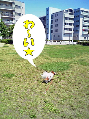 ÂÇÀ¥¤Ë¤Æ£