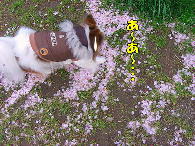 �����롦������
