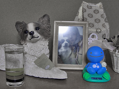�Ҥ��ޤ��̱��