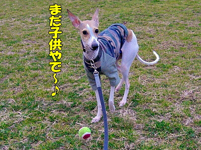 郎°ìÈÖ¡¦¡¦¡¦¡¦¯