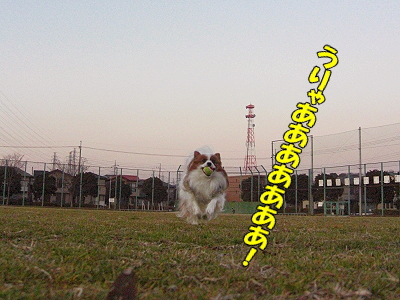 ¤Õ¤¿¤¿¤Ó¶¯É÷¡¦¡¦¡¦ª
