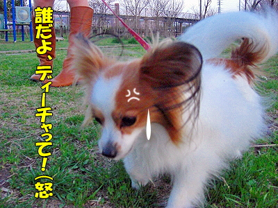 ºùºé¤¯¡¦¡¦¡¦¡¦ª