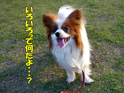 º¤¤Ã¤¿¤â¤ó¤À¡¦¡¦¡¦¡¦¥