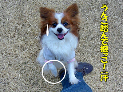 ��ǰ���̾���ϡ���������