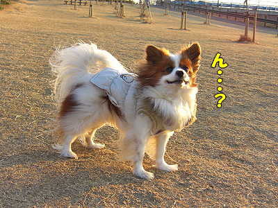 ¤½¤Î¸å¤â¥µ¥¶¥Ó¡¼£÷£