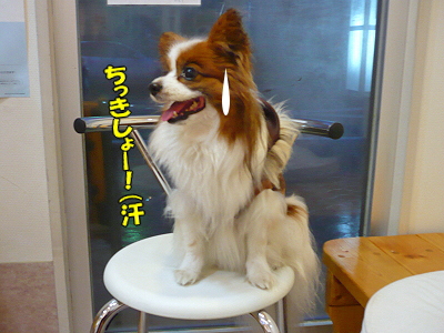 ¤¯¤Ä¤í¤²¤ë¾ì½ê¡¦¡¦¡¦¨