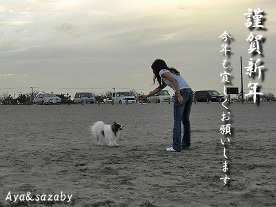 ǯ»Ï¥«¡¼¥É¥×¥ì¥¼¥ó¥È¡ú¨