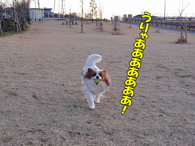 I AM LEGEND����������