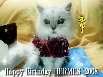 Happy Birthday HERMES��2008��