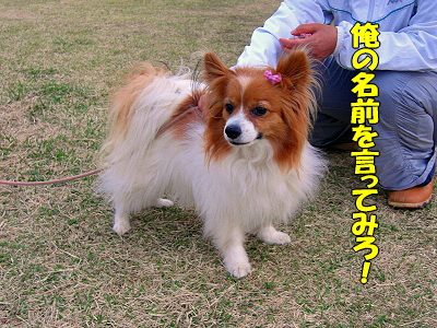 �����¿��������orz��