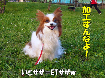 ET¥µ¥¶£÷¦