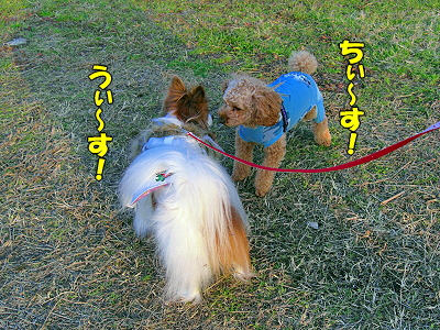 ¥¤¥ó¥Ç¥£¥¢¥ó¤òõ¤·¤Æ¡¦¡¦¡¦¡¦®