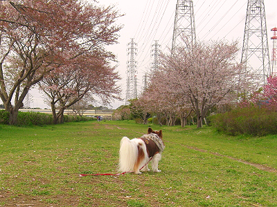 �����롦������