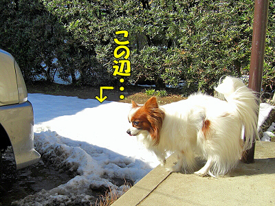 À㸶¤Ï²¿½è¤Ø¡©©