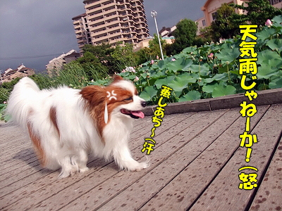 ΢ÌÜ¡¦¡¦¡¦©