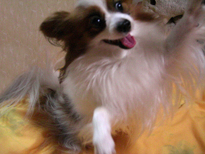 ���ޤ󤹤ޤ�