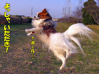 ¡ú¡Ö¤½¤Î¥µ¥¶¡×500²óµÇ°SPÃêÁªÊýË¡¡ú¥